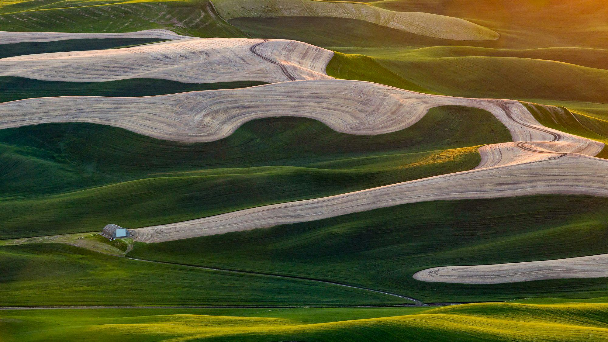 A photography of green rolling hills during sunset